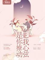 是你撩動我心弦