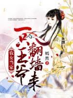 農(nóng)女當(dāng)家：一只王爺翻墻來