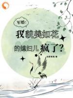 軍婚：我貌美如花的媳婦兒瘋了？