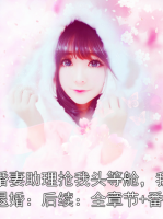 未婚妻助理?yè)屛翌^等艙，我選擇退婚：后續(xù)：全章節(jié)+番外