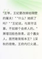 傻妻改嫁后，將軍后悔了