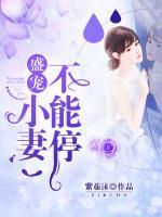 盛寵小妻不能停