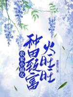 農(nóng)家小福女，種田致富火旺旺
