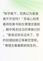 側(cè)妃出逃，世子殿下瘋了