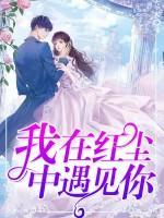 我在紅塵中遇見你
