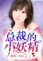 總裁的小妖精