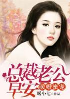 暖婚蜜寵：總裁老公早安