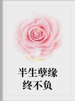 半生孽緣終不負(fù)