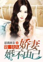 第一夫人：嬌妻婚不由己