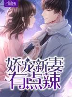 嬌寵新妻有點辣