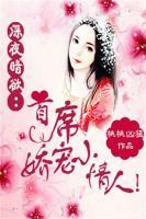 深夜暗欲：首席嬌寵小情人！