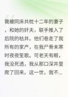 妻有奸夫兒非我，我先休妻再索命