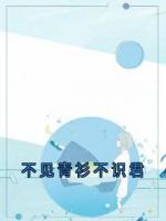 不見青衫不識(shí)君