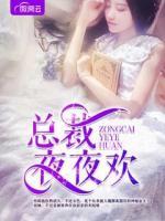 總裁夜夜歡