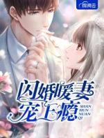 閃婚暖妻寵上癮