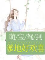萌寶駕到：爹地好歡喜