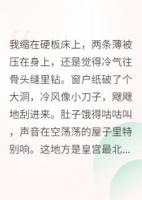 在皇宮里開小賣部