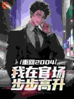 重回2004：我在官場步步高升
