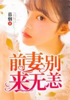 前妻，別來無恙
