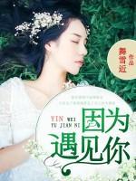 因?yàn)橛鲆娔?>
                    <a href=