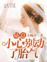 陸總，小心別動了胎氣
