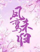 鳳鸞未歸