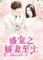 盛寵之嬌妻至上