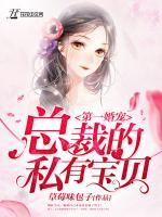 第一婚寵：總裁的私有寶貝