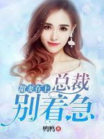 萌妻在上：總裁，別著急
