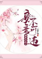 傾世皇妃之妾意不可違