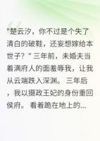 侯府嫡女：王爺請下聘