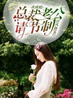 一夜成癮：總裁老公請(qǐng)節(jié)制