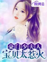 豪門(mén)少夫人：寶貝太惹火