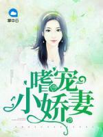 嗜寵小嬌妻