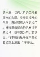 時光未語情先殤