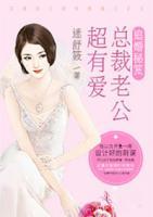 追婚秘笈：總裁老公超有愛(ài)