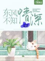 東風(fēng)不知情深
