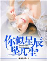 你似星辰墜凡塵