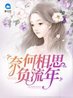 奈何相思負(fù)流年