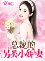 總裁的另類小嬌妻