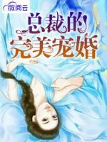 總裁的完美寵婚