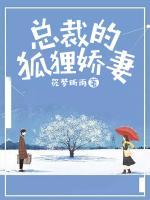 總裁的狐貍嬌妻