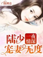 一夜情深：陸少寵妻無度