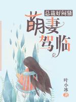 萌妻駕臨：總裁好悶騷