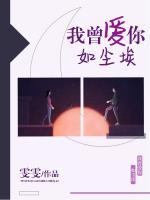 我曾愛(ài)你如塵埃