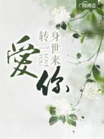 轉(zhuǎn)身一世來愛你