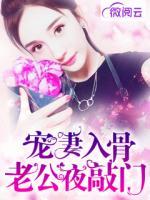 寵妻入骨老公夜敲門