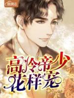 高冷帝少花樣寵