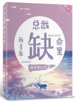 總裁命里缺我多年