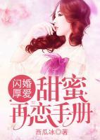 閃婚厚愛(ài)：甜蜜再戀手冊(cè)